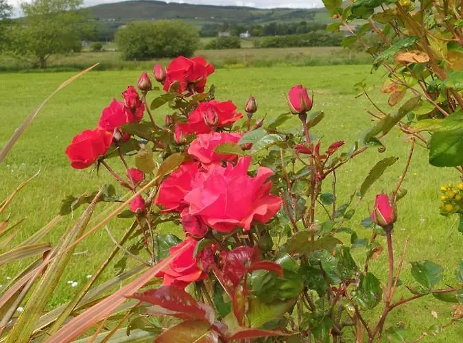 Couette-café Los Molinos 4*